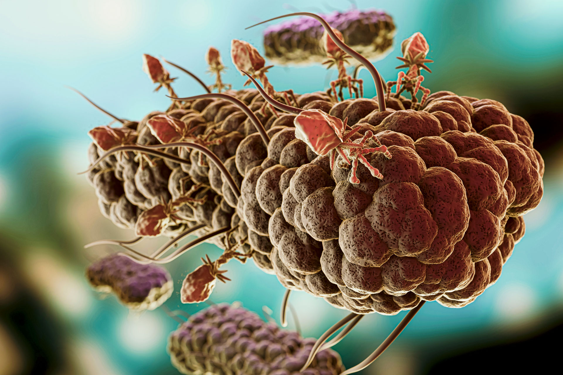 Marijuana Testing, Hemp Testing